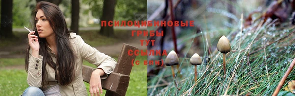 прущий лед Арсеньев