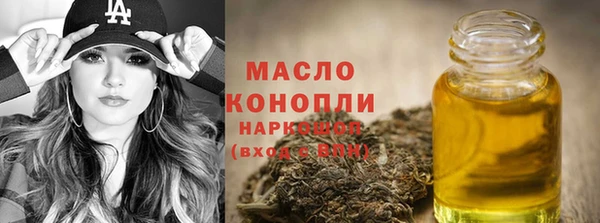 молекула духа Покров