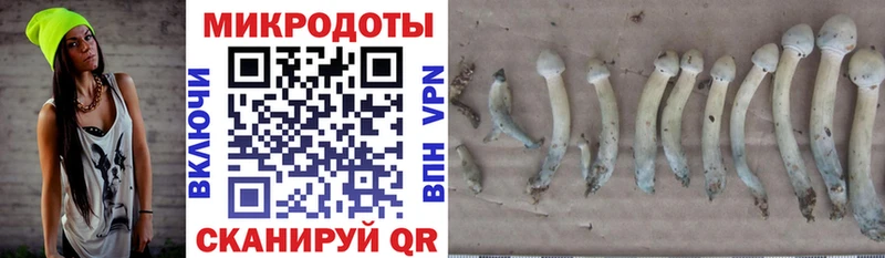 где можно купить наркотик  Усолье  Псилоцибиновые грибы ЛСД 