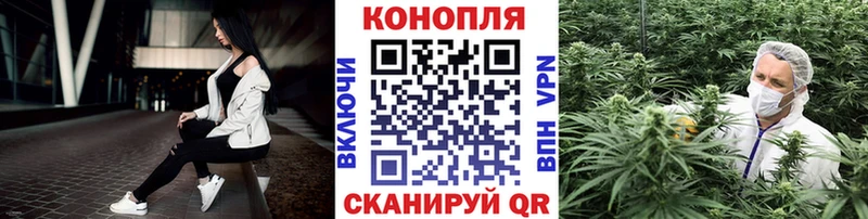 где купить наркотик  Усолье  Бошки марихуана сатива 
